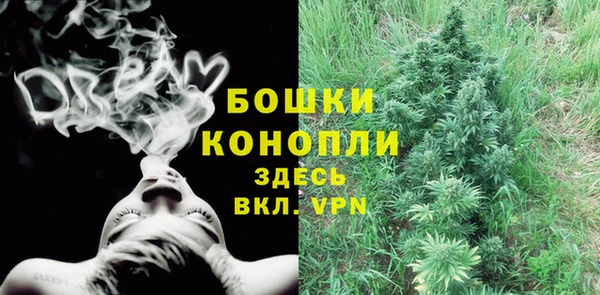 соль курить ск Белокуриха