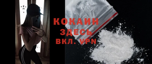 соль курить ск Белокуриха