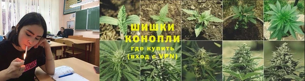 соль курить ск Белокуриха