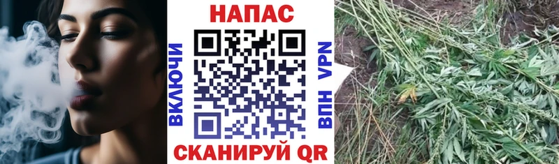 Канабис план  хочу   Чулым 
